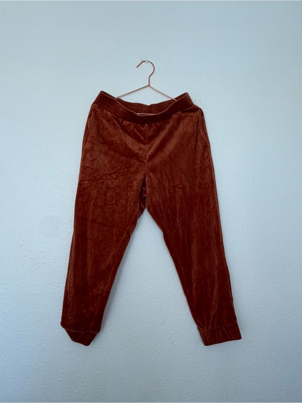 Wild fable Velvet Jogger Pants - Brown rust